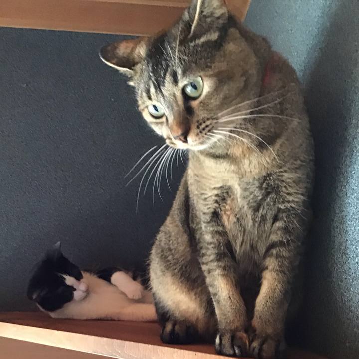 3ab1e36a 45d5 49e7 9e87 559456fdf6f5 1630023373253