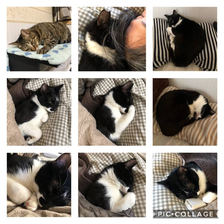 3ab1fd78 dde6 4363 b0e3 3b173df105c4 1610713926504