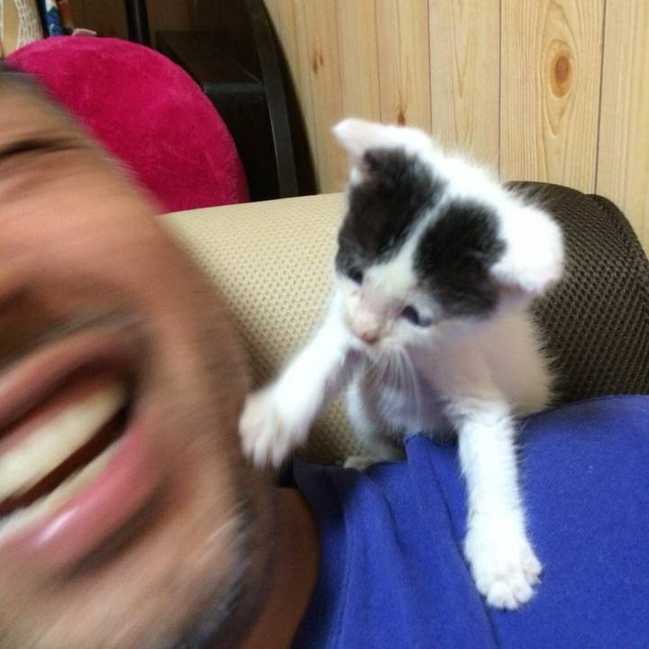 3ab20543 7a93 4323 94c4 d79a1be53e0d 1531230507514