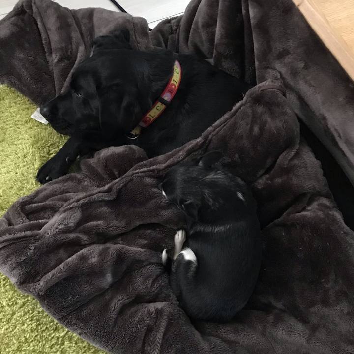 3ab21053 018b 441f 9207 7ae50e5857ea 1549924675297