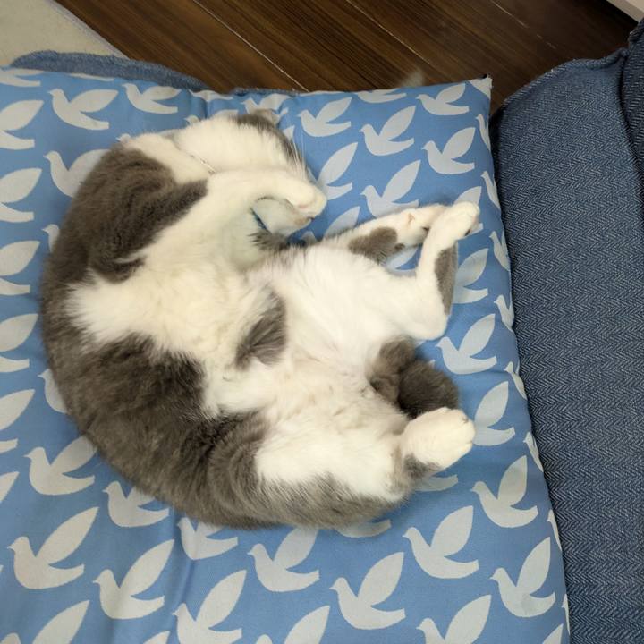 3ab229ea 689d 4d25 8728 7203e0a46bb4 1754660775326