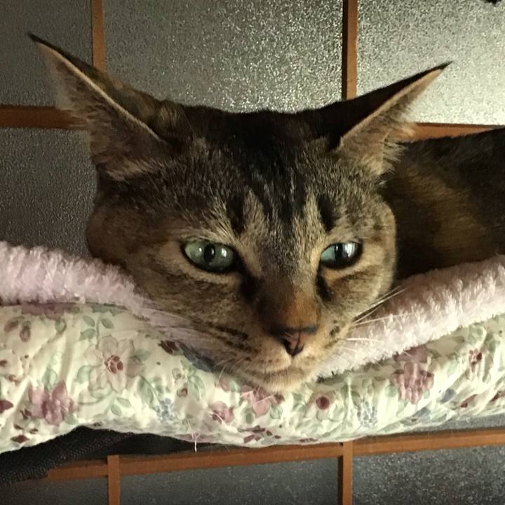 3ab237cc cd1c 43fe b9e9 ddf72fb5f53d 1685870816660