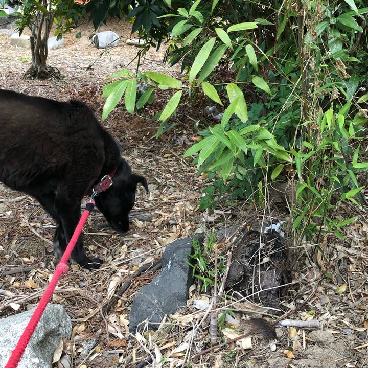 3ab246c2 fd7b 4da2 aa91 e43c001cf546 1555491079735