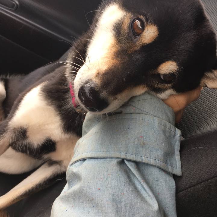 3ab24816 e435 4fdb 8512 51f3b11fe2a7 1544453710018