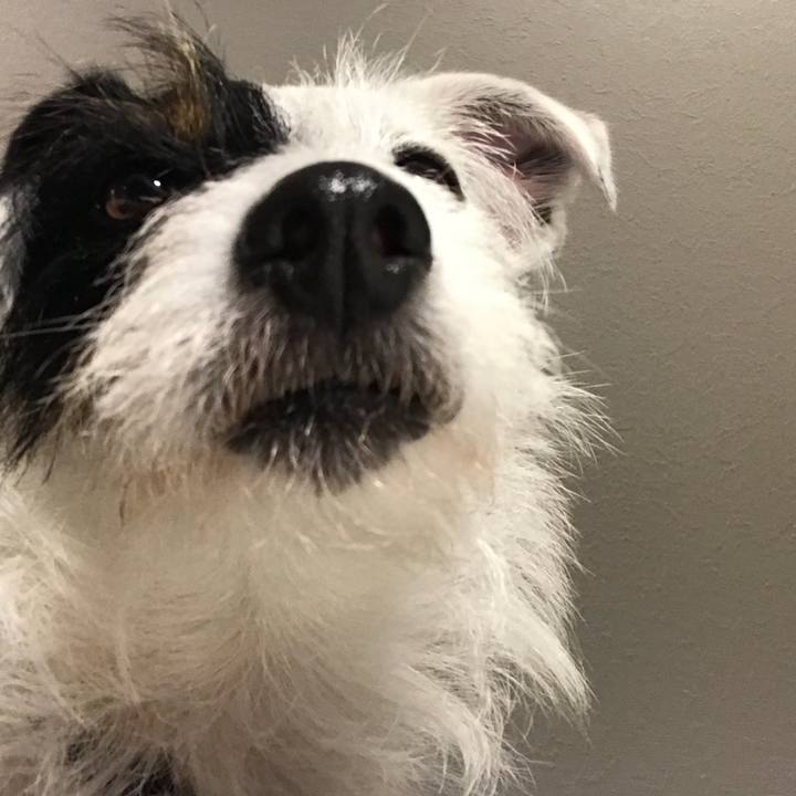 3ab25f2d 14f5 4a4f 9474 989eeeaacbdd 1526211132426