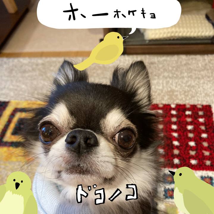 3ab269c2 1a97 4ee4 bca4 548817440fda 1711156392191