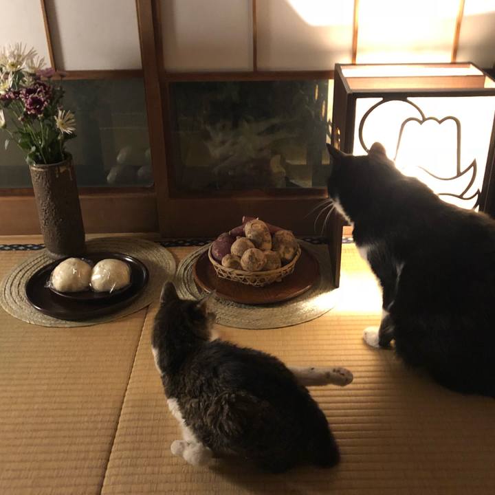 3ab27c20 cf2b 43c8 8270 a6ab74638501 1540115095464