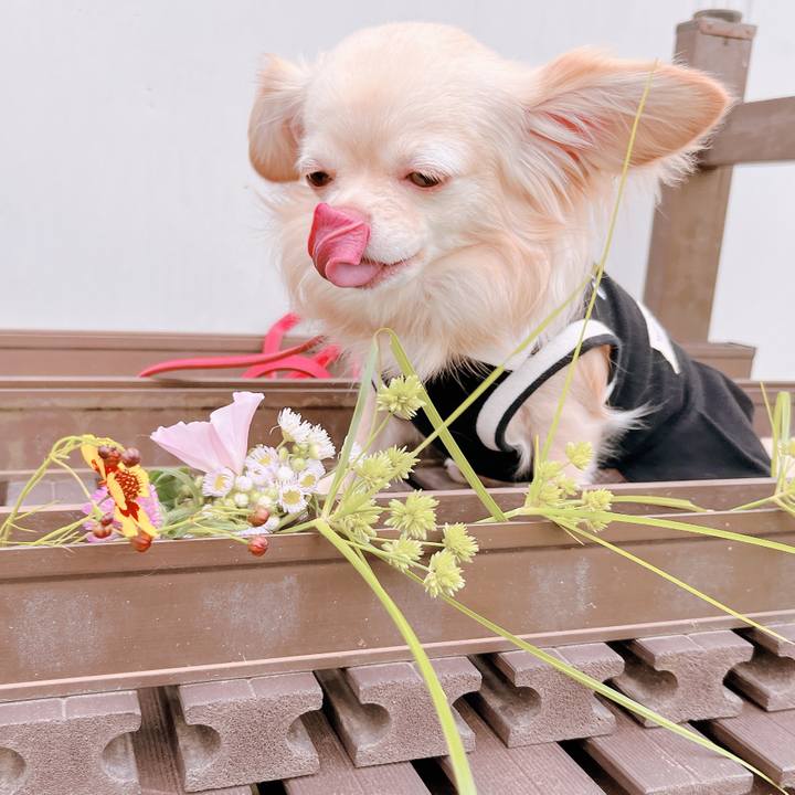 3ab29236 26c4 4d62 8eff 328545d6b971 1654684877732