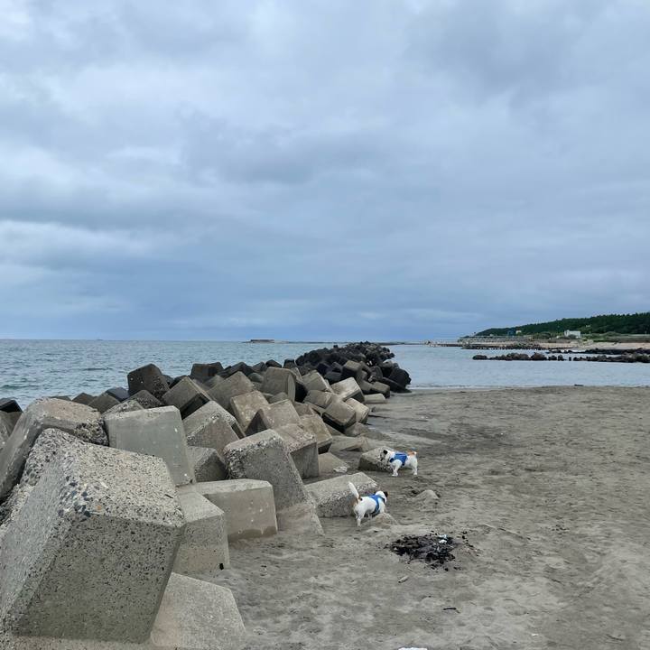 3ab29526 4850 4415 8eb4 039042cff8bd 1722986134471