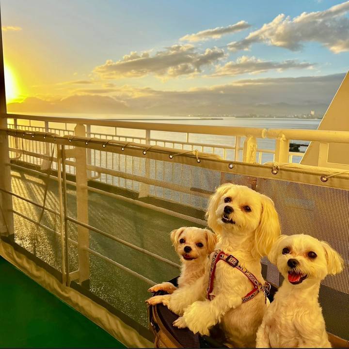 3ab2c257 33ec 46a7 9e4d 34df9dee8b8c 1661842248838