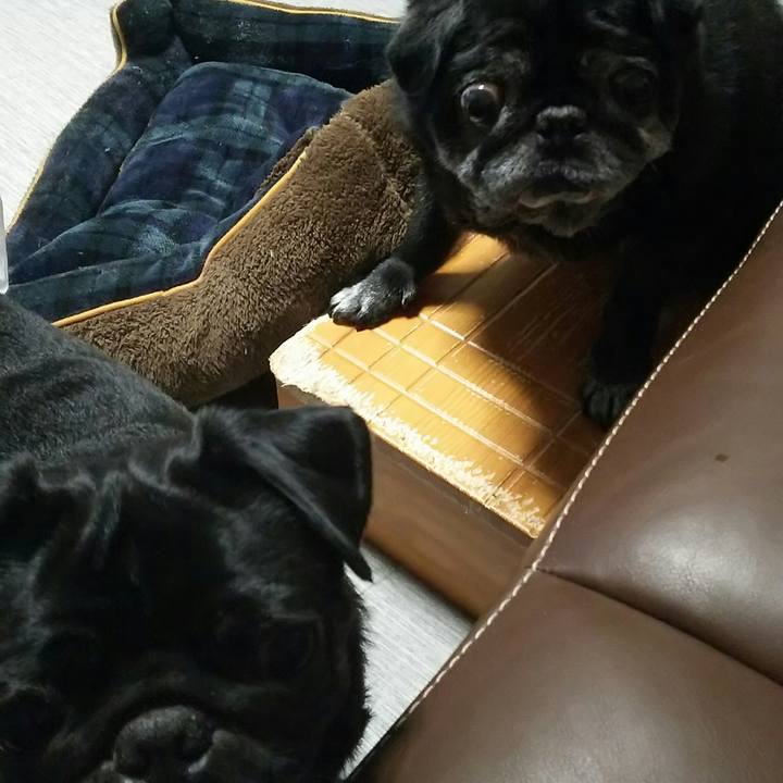 3ab2cc21 93e1 4108 aa5e ba0e048a361d 1532483678425