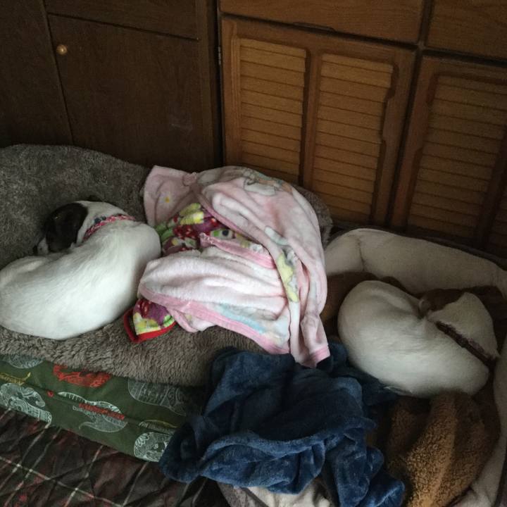 3ab303da c00d 4908 b265 d6b47ce611f7 1517635148350