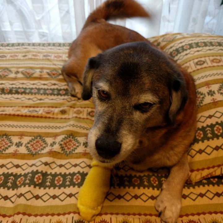 3ab313bb eef8 44c1 98f5 da92a49734e7 1550736934105