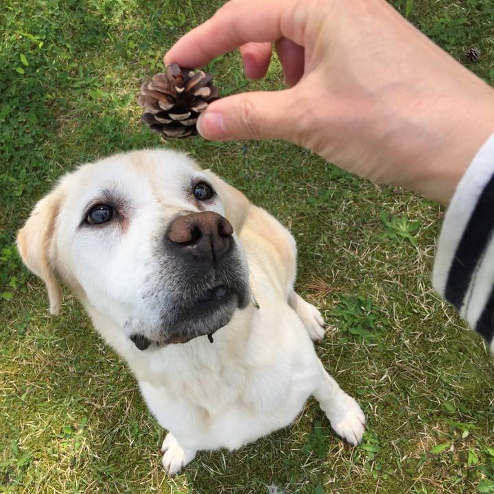 3ab32738 02a1 4980 9104 6c7b90721a26 1593553598323