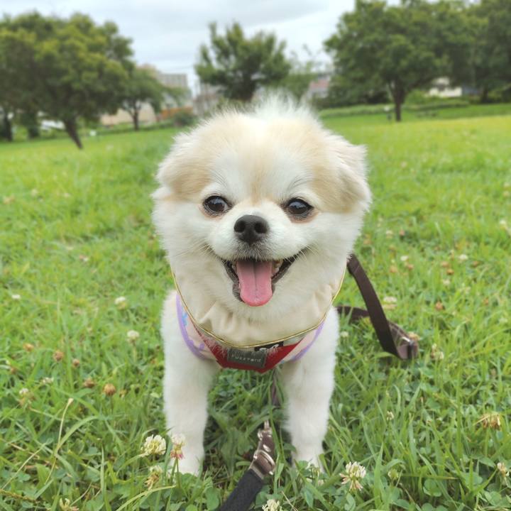 3ab32ddd 8194 4765 a32a 7c3251a63c68 1757857271638