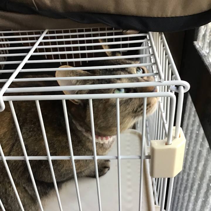 3ab3c421 9bc8 42ce 9571 189cea841efa 1653292603660