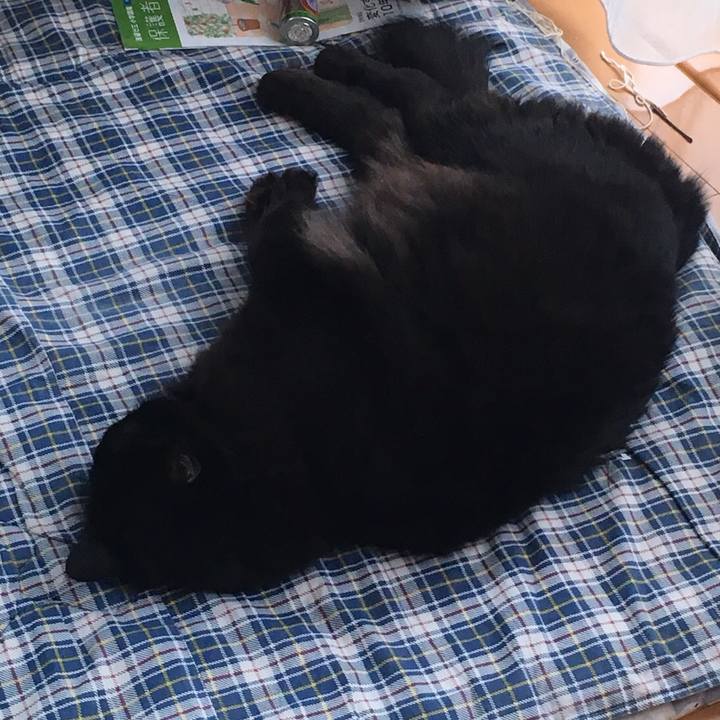 3ab43f0d a28c 4349 b38e cf866077b84d 1514244551191