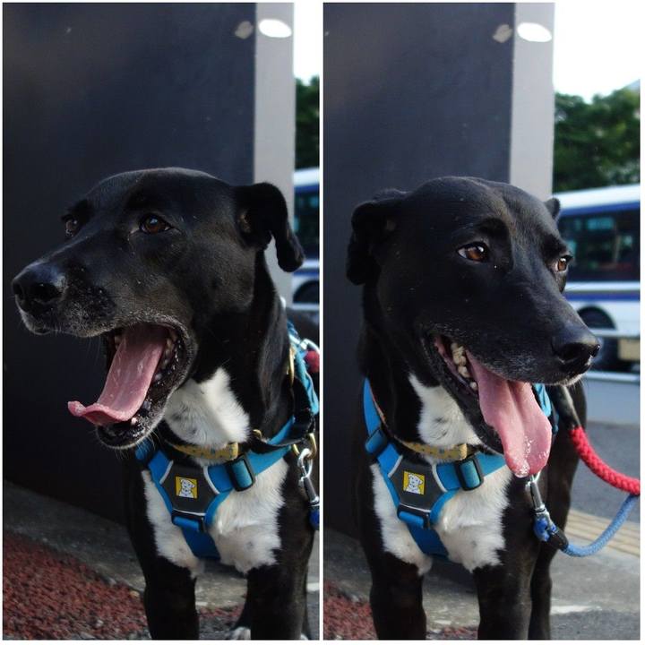 3ab4487a e201 49d6 83a0 b42d040acf7d 1623235938965