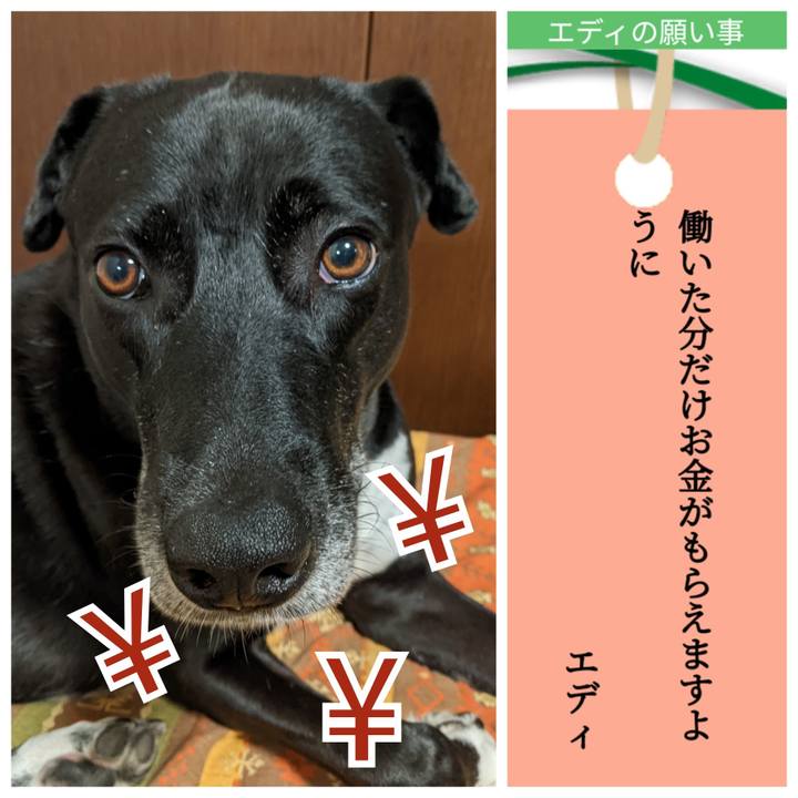 3ab45bf7 3c77 44dd 9807 075d0e881055 1657104655804