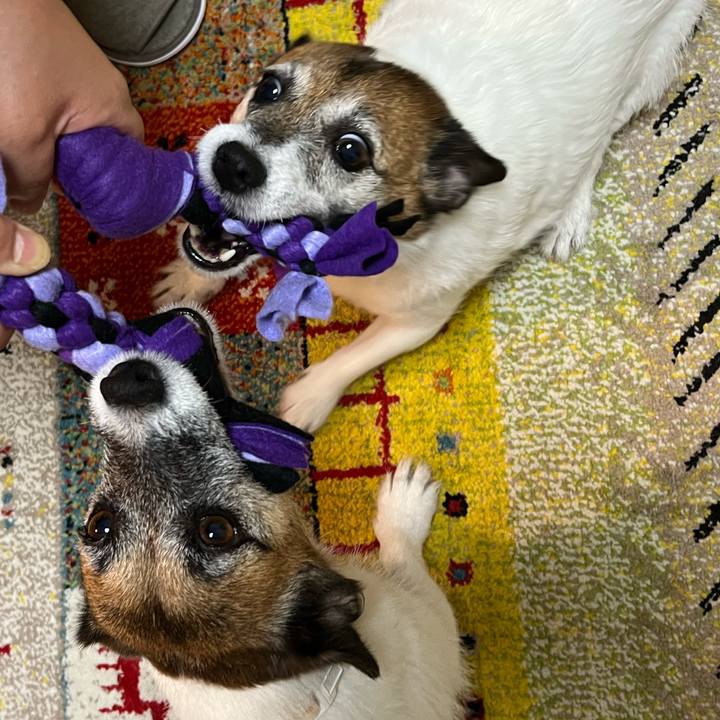 3ab47655 be6c 43be ad06 69716e64b466 1758194222367