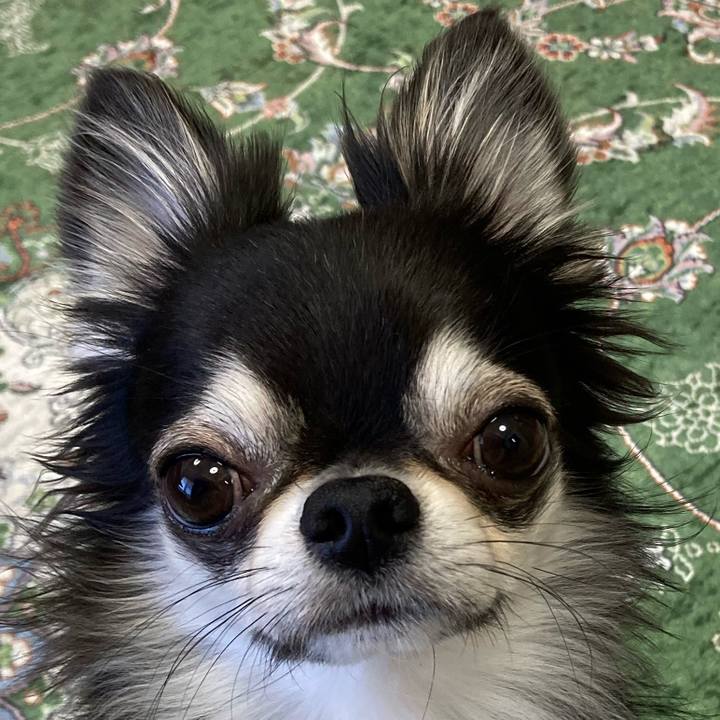 3ab49f95 c003 41cb 987d d02b3d921a33 1653693648916