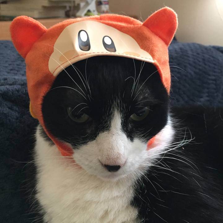 3ab4b026 580d 4ab4 968b b8cc8b8d41e5 1538395201059