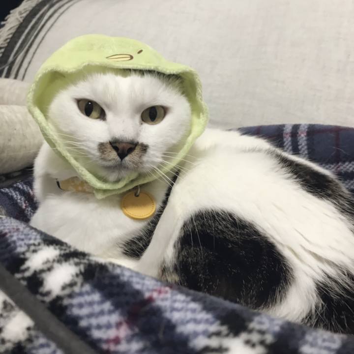 3ab4b2c1 8c39 43d7 90bc 0f1af260589b 1551847342507