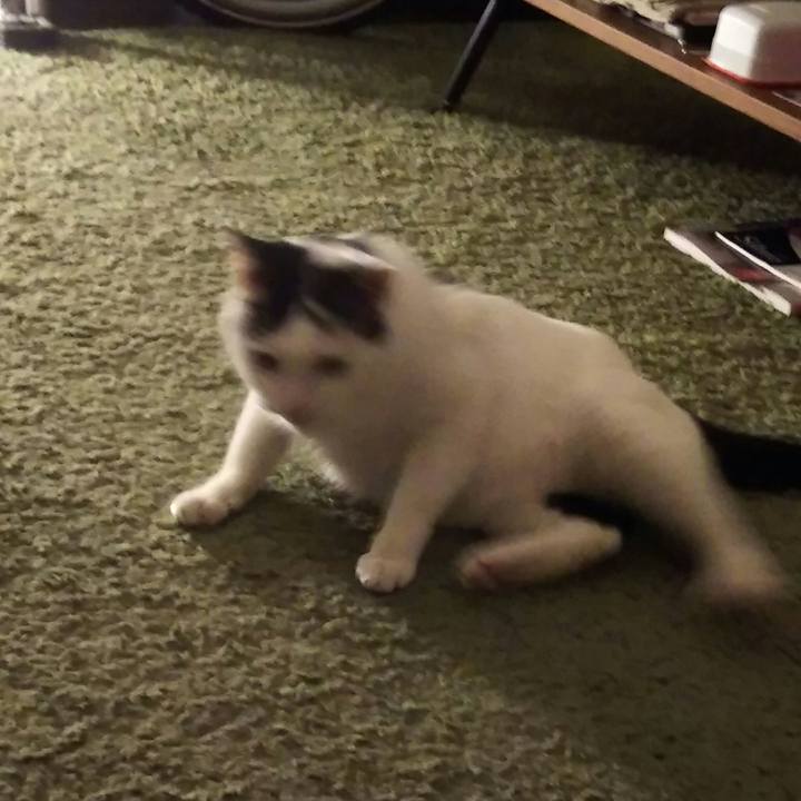 3ab4d303 4e52 40ad afa0 c8c61a73fbb8 1540914600417