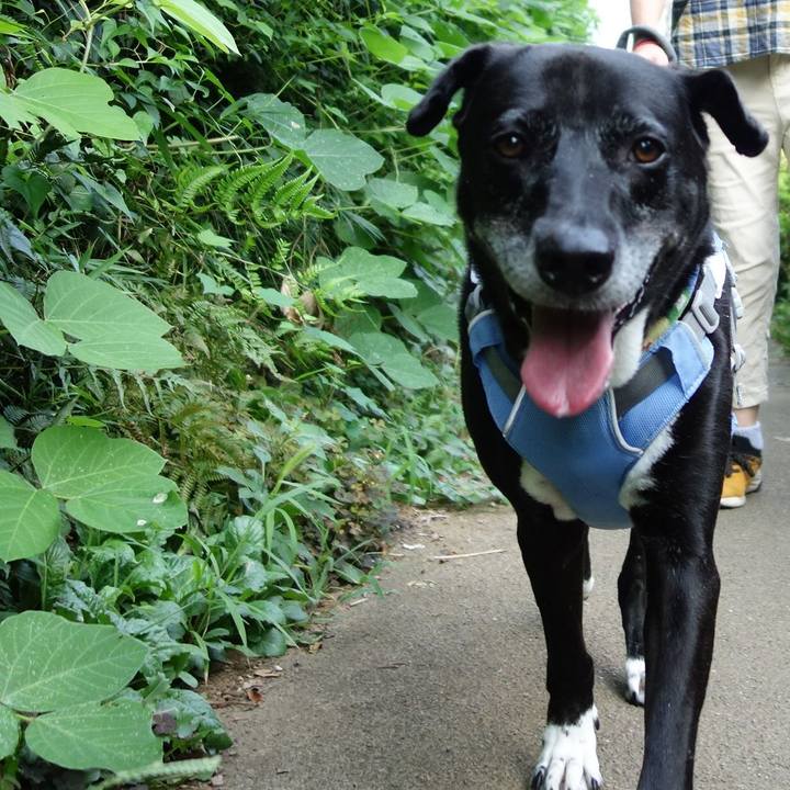 3ab4e916 609d 43f8 a681 b9af4f7dc919 1723592991167