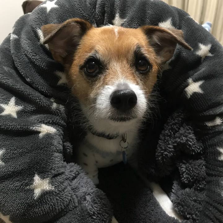 3ab50882 3684 4e32 99ef 88f2da5ade2c 1515711434201