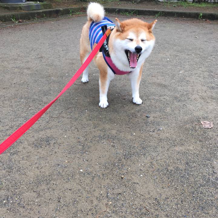 3ab52dad 37d4 43bf acbd f20d211ed05a 1595119266843