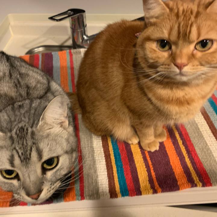 3ab52e03 b575 48a7 a56a 05c25dd45c5c 1610419047605