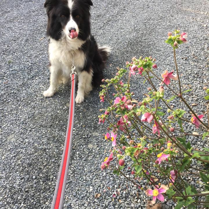 3ab5664a 4a6f 4c02 ab66 b5528237ffe8 1568502098128