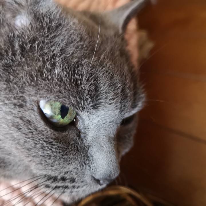 3ab580ba 7371 4396 8fd2 8157f8d6857f 1597534463641