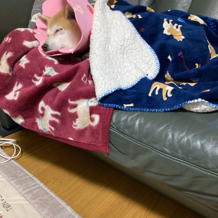 3ab59d3a 3b01 4f70 b569 3d274986b5b5 1638018199705