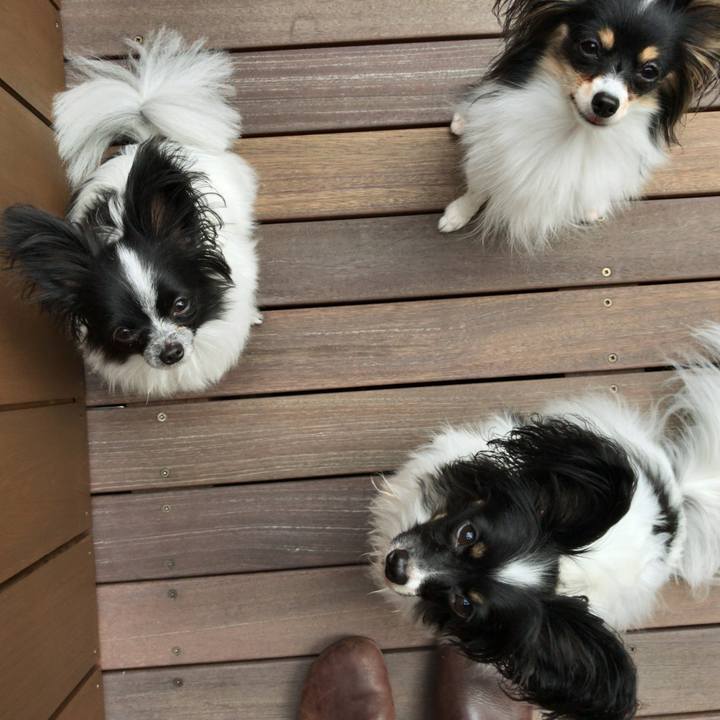 3ab5d71d b512 40b7 9ce5 f820c614a7d7 1508837669418