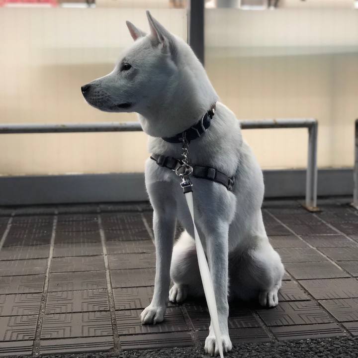 3ab5e640 b119 492e 9b13 cce4d040b304 1579173800198