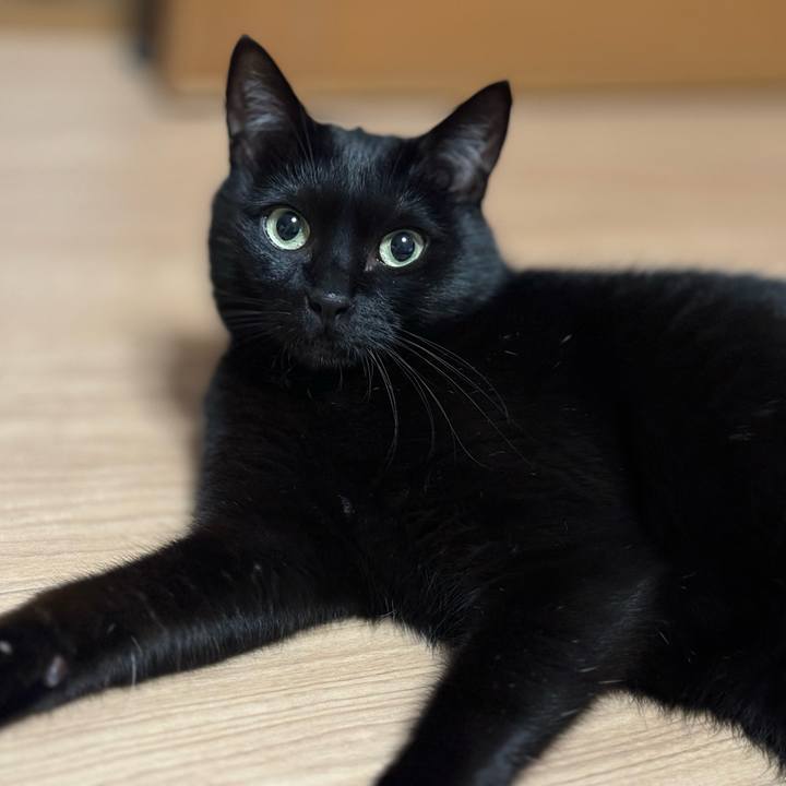 3ab62161 78aa 4581 903e e8de4c83efed 1714818545035