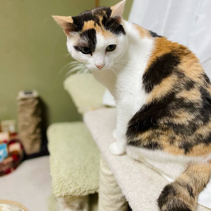 3ab65465 d503 4512 b2ad 4af6503eb0e4 1642039135117