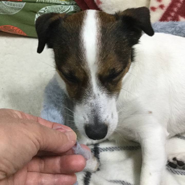 3ab66c71 6232 478d 9bd0 8846bfb77981 1552300696785