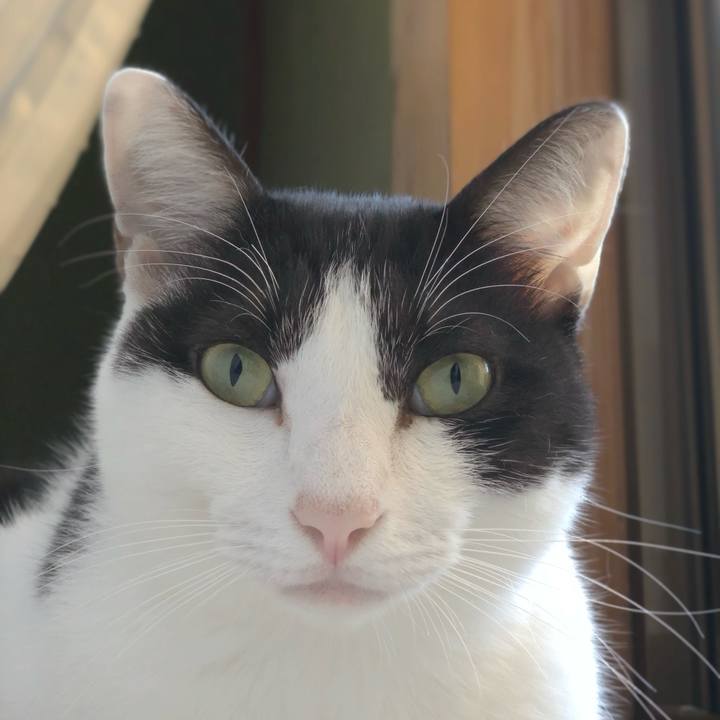 3ab6ad20 586a 4c37 9da3 a76ef32afa73 1539656330413