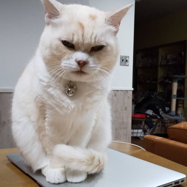 3ab6b20e ebc5 474b 91b3 c1937f316114 1571324637386