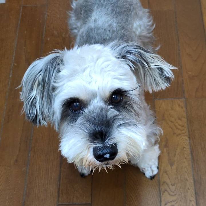 3ab6fba8 5175 4c64 b072 0a4e8439717d 1762009095287