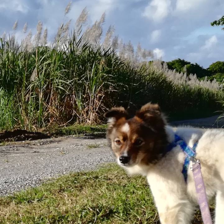 3ab70c9c ed78 4e53 a169 d7310c9294cc 1547292820494