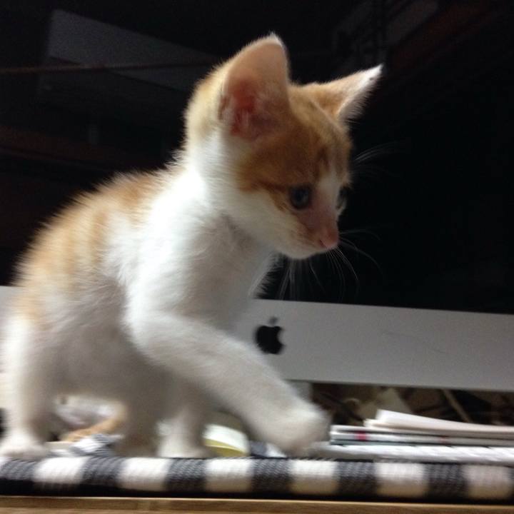 3ab7463b d8ad 4467 b1ed 0d8337345daa 1560151115128