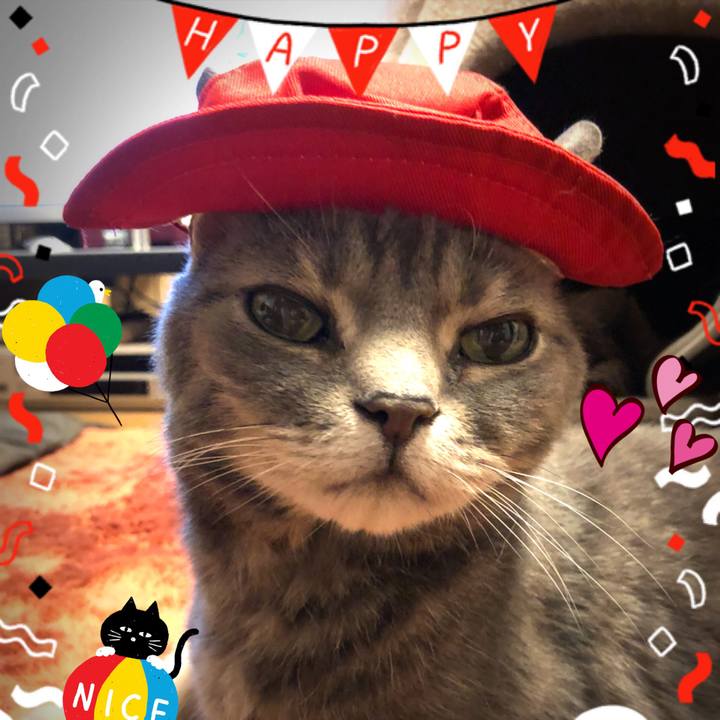 3ab7476c fc11 41a5 addc 2d5ab669309a 1526991743439