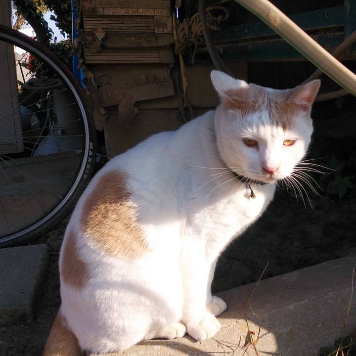 3ab75477 2ac4 4d77 8d09 207995c2713e 1605582490462