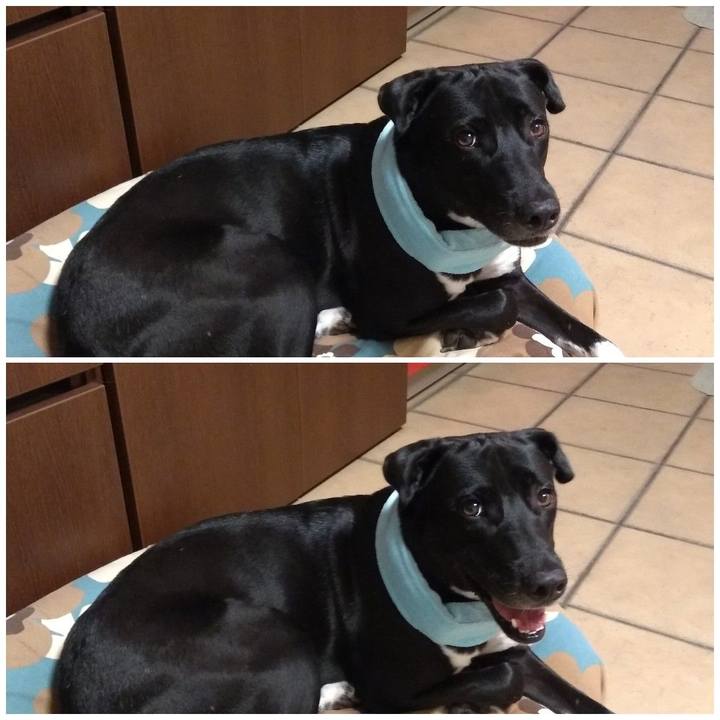 3ab75e76 7ddc 4284 89ba 9c3575e55463 1597833771146