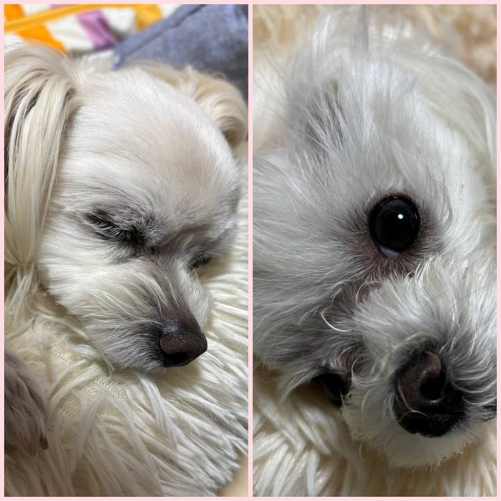 3ab76e08 f059 405c a386 ff63db810e99 1745312233446