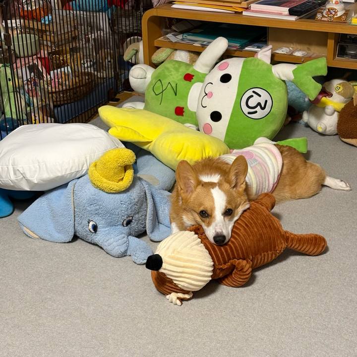 3ab776f2 ca60 4761 9254 5007142f2520 1767270519237